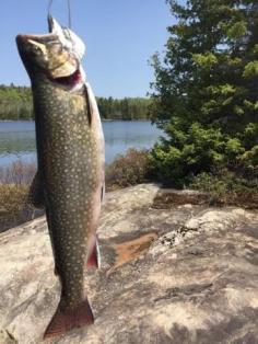 Ontario Fishing 33