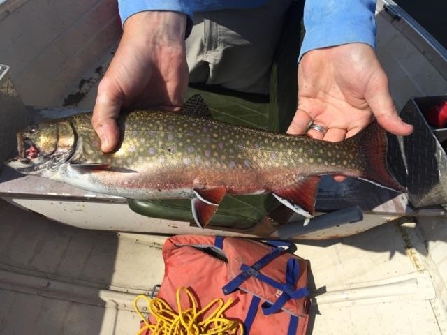 Ontario Fishing 29