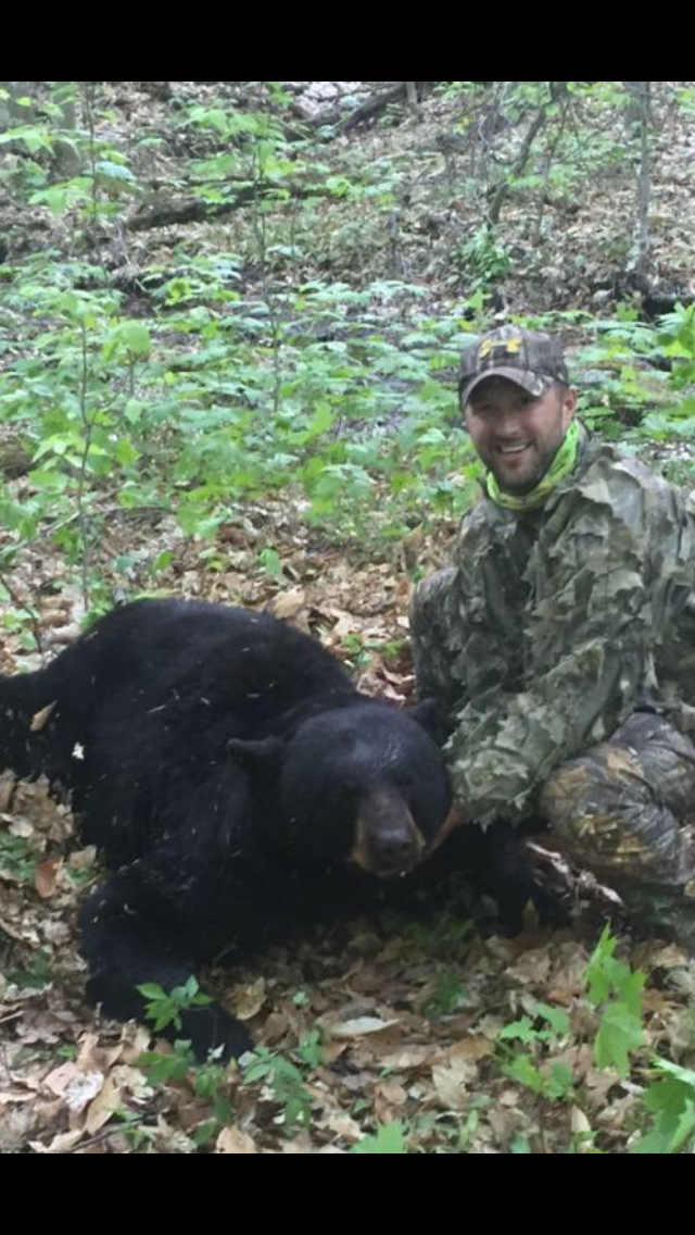 First big spring bear