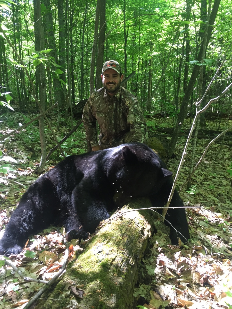Black Bear Hunting 41