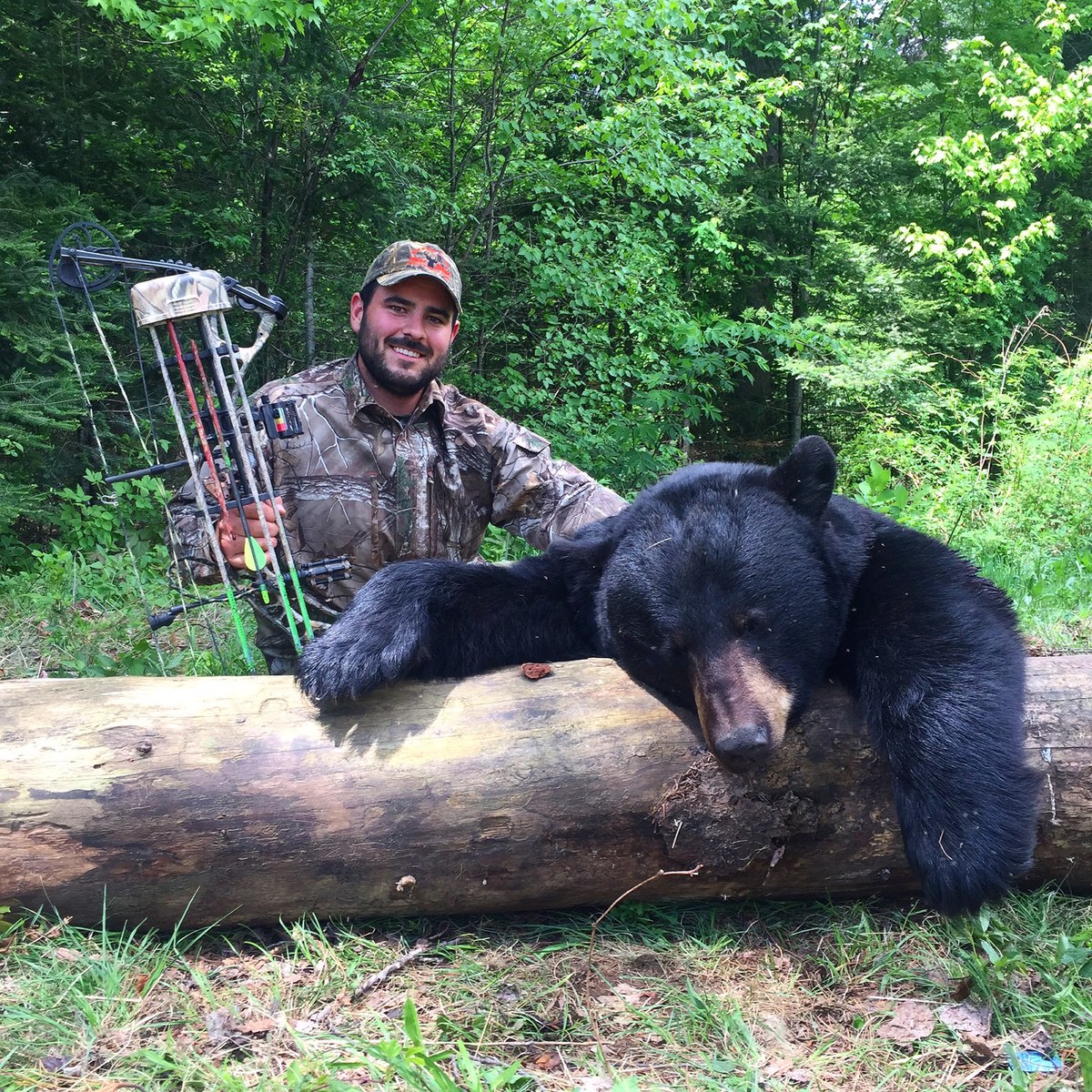 Trents first black bear