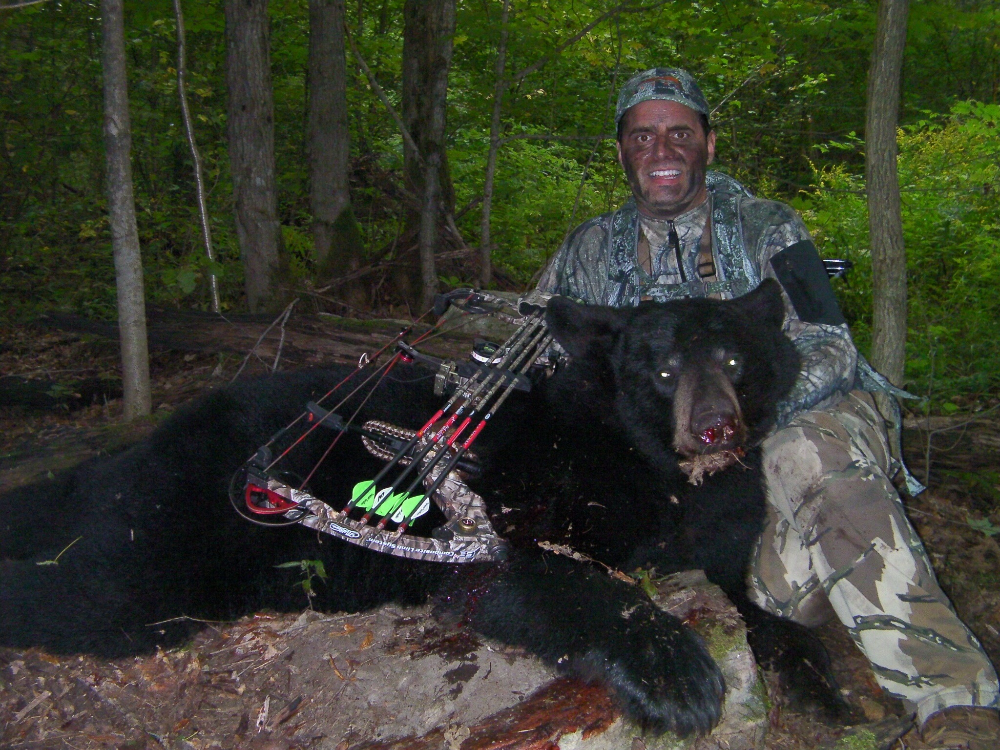 bow hunt bear